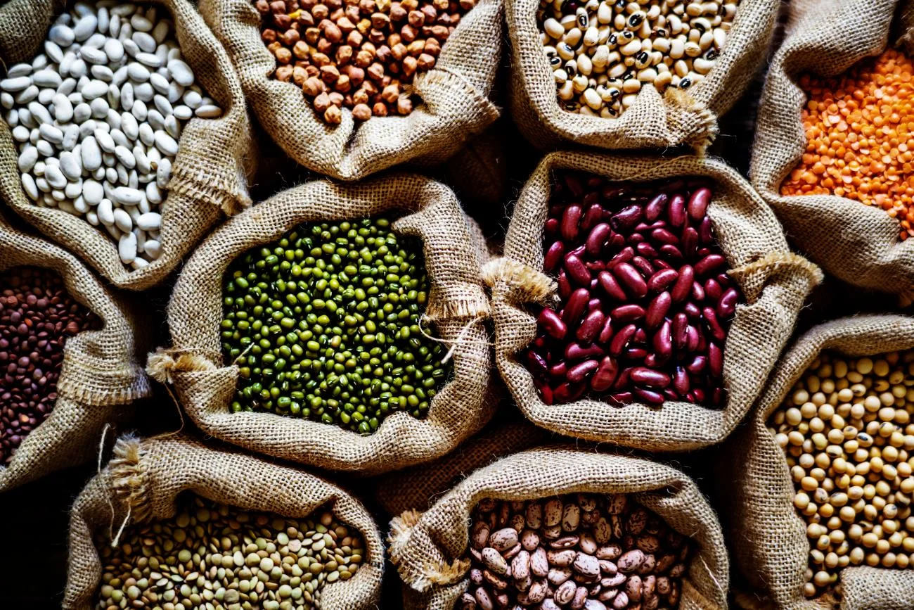An assortment of pulses and lentils in jute sacks
