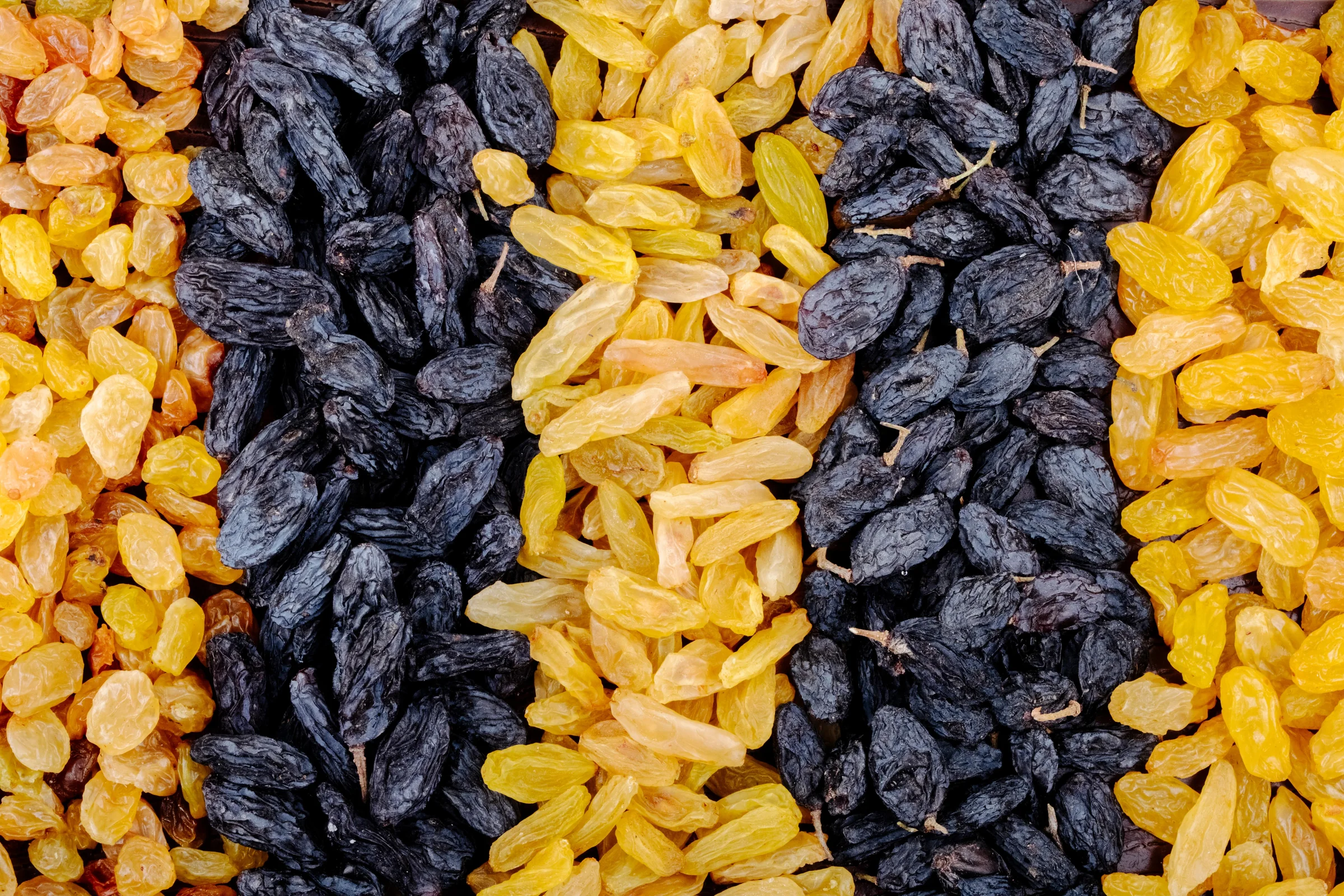 Black, brown and golden raisins arranged in rows