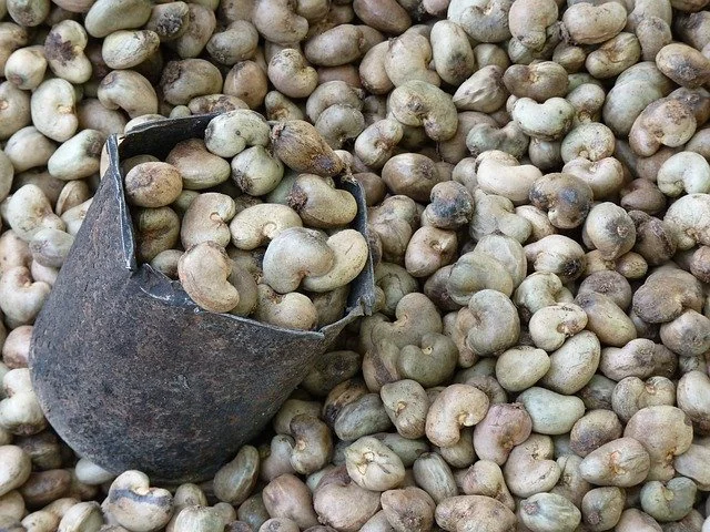 Raw cashew nuts in shell heaped for trade